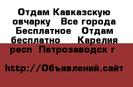 Отдам Кавказскую овчарку - Все города Бесплатное » Отдам бесплатно   . Карелия респ.,Петрозаводск г.